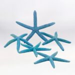 &Alpha;&sigma;&tau;&epsilon;&rho;ί&epsilon;&sigmaf; &phi;&upsilon;&sigma;&iota;&kappa;&omicron;ί &tau;&upsilon;&rho;&kappa;&omicron;&upsilon;ά&zeta; &chi;&rho;ώ&mu;&alpha; &ndash; &sigma;&upsilon;&sigma;&kappa;. 5&tau;&mu;&chi;.