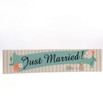 &Pi;&Iota;&Nu;&Alpha;&Kappa;&Iota;&Delta;&Alpha; PVC JUST MARRIED